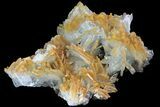 Blue, Bladed Barite Crystal Cluster - Morocco #80536-2